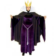 Ladies Evil Queen Sleeping Beauty Costume Size 10 - 12